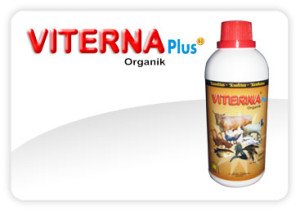 Viterna Plus Vitamin Ternak