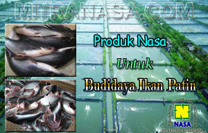 Produk Nasa Untuk Budidaya Ikan Patin